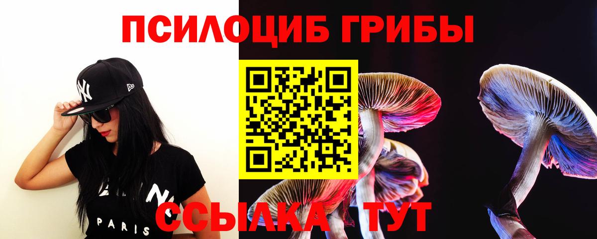 Галлюциногенные грибы мухоморы Краснознаменск